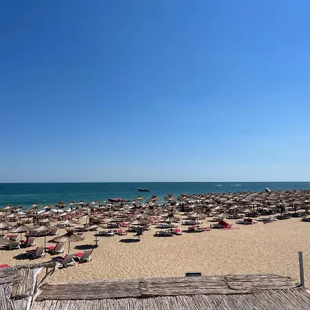 Sh Dolce Mare