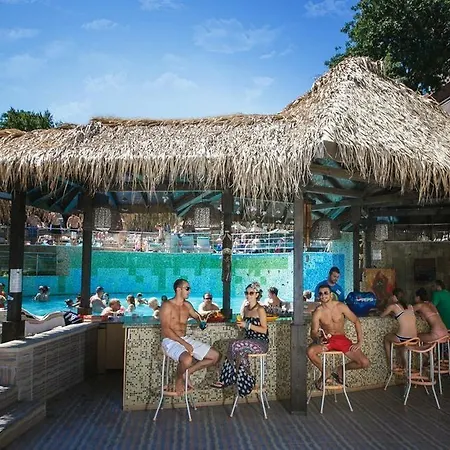 Sh Dolce Mare Golden Sands